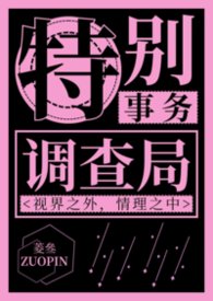 特别调查 小说